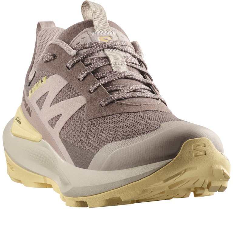 Взуття Salomon Elixir Activ GTX W - коричневе