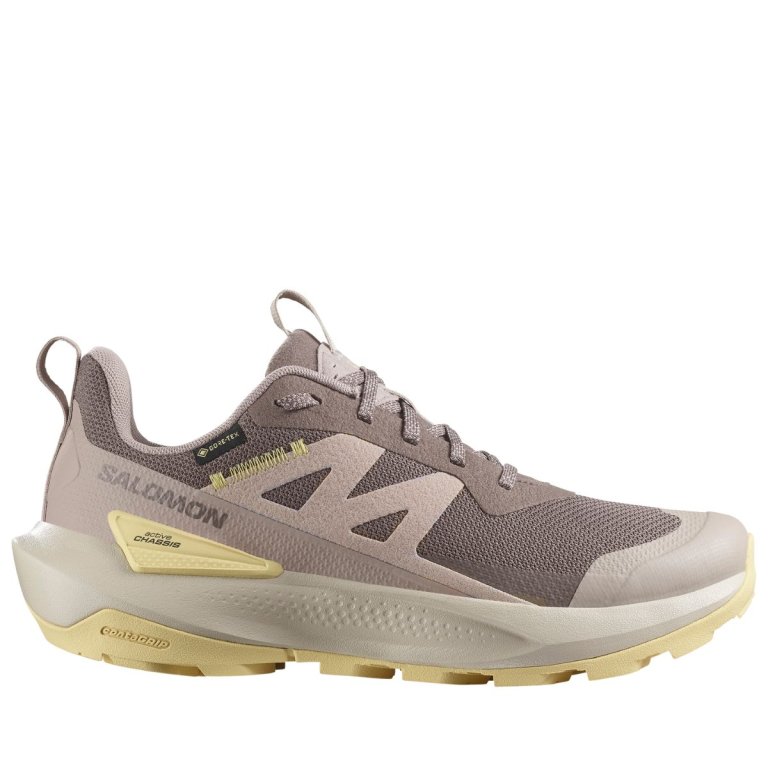 Взуття Salomon Elixir Activ GTX W - коричневе