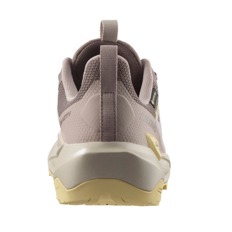Взуття Salomon Elixir Activ GTX W - коричневе