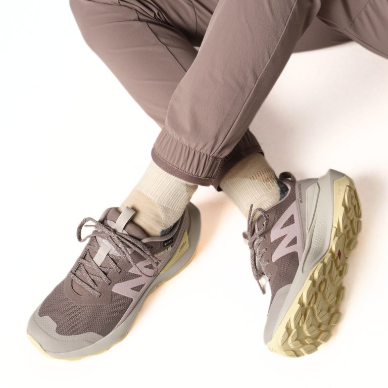 Взуття Salomon Elixir Activ GTX W - коричневе