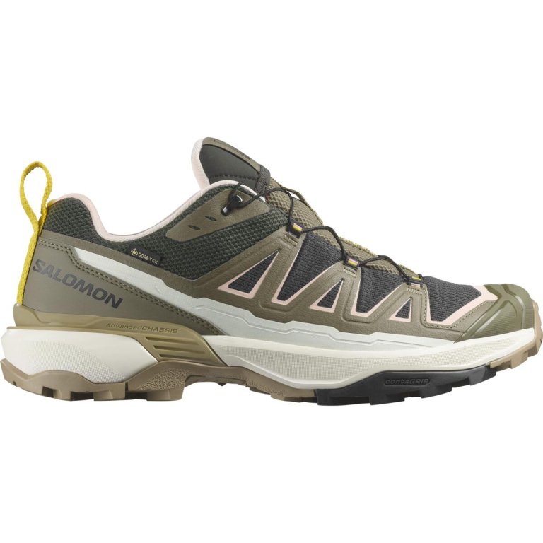 Взуття Salomon X Ultra 360 Edge GTX M - коричнево/зелене