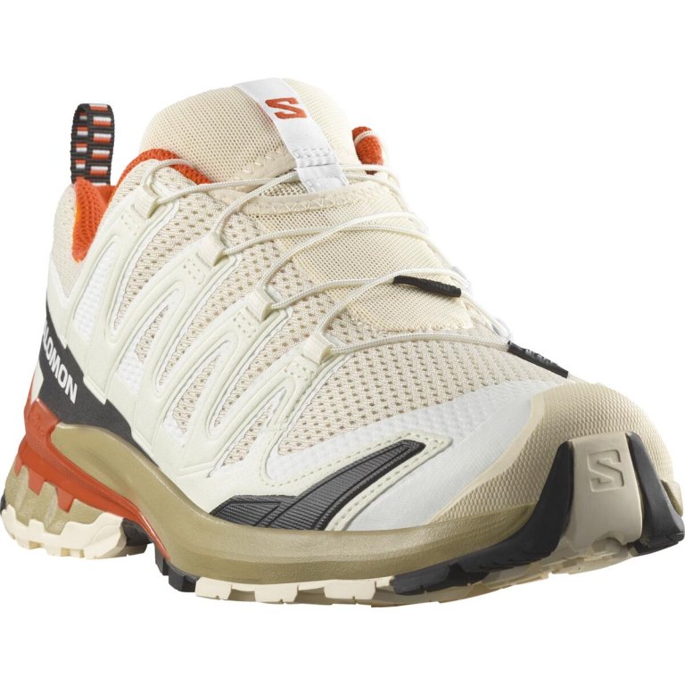 Кросівки Salomon Xa Pro 3D V9 M - бежево/червоно/чорні