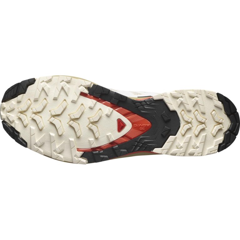 Кросівки Salomon Xa Pro 3D V9 M - бежево/червоно/чорні