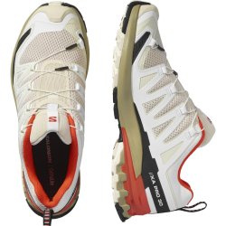 Кросівки Salomon Xa Pro 3D V9 M - бежево/червоно/чорні