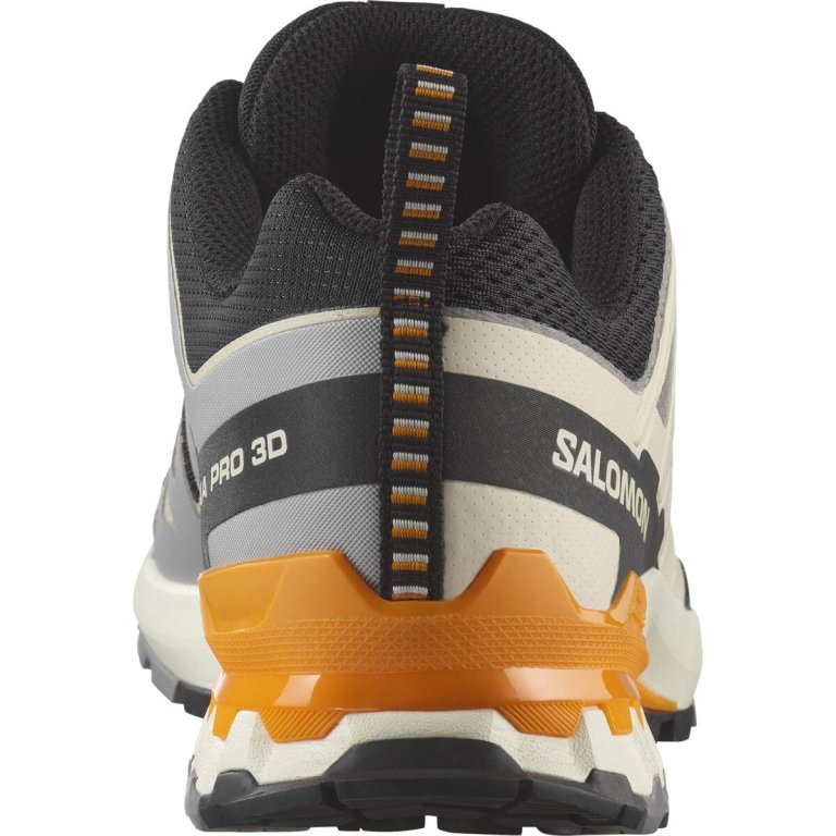 Кросівки Salomon Xa Pro 3D V9 M - чорно/бежево/помаранчеві