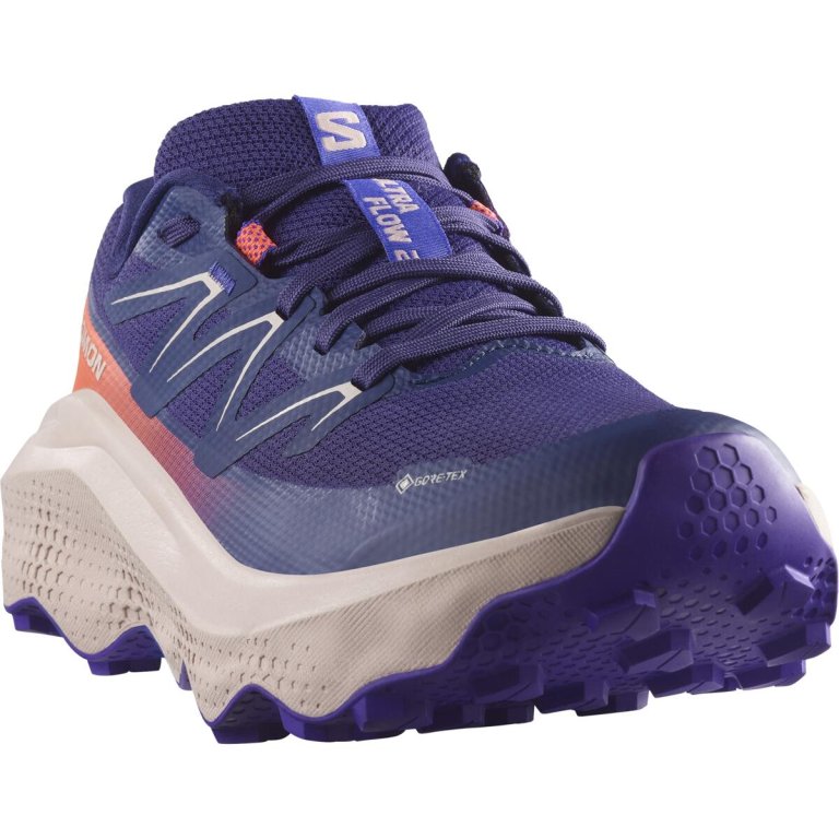 Кросівки Salomon Ultra Flow 2 GTX W - синьо/рожеві