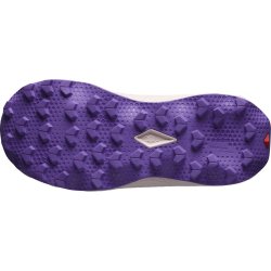 Кросівки Salomon Ultra Flow 2 GTX W - синьо/рожеві