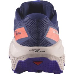 Кросівки Salomon Ultra Flow 2 GTX W - синьо/рожеві