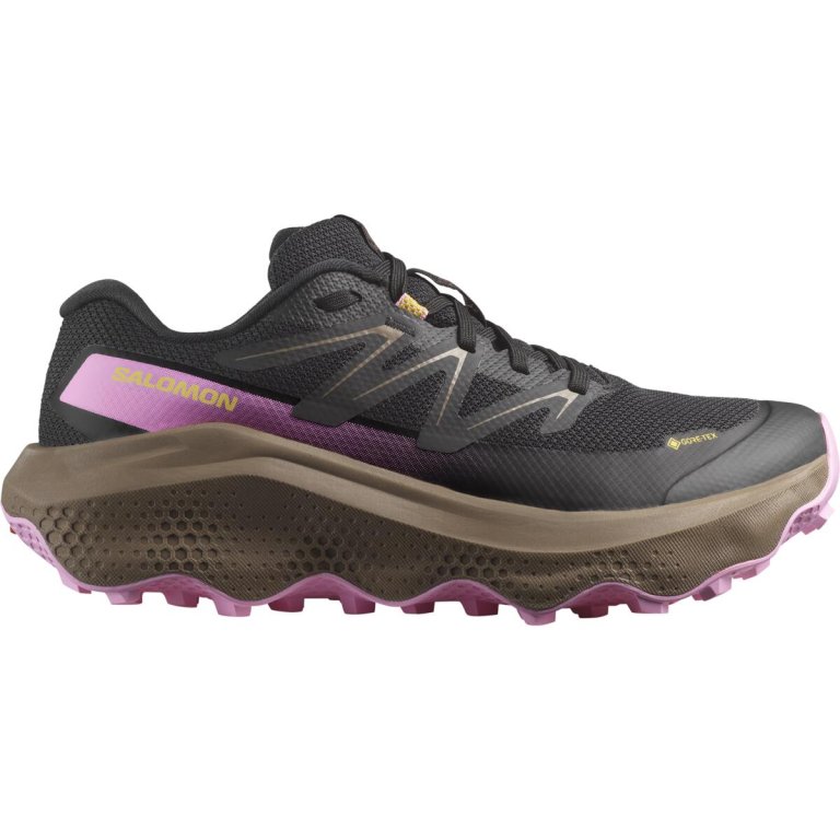 Кросівки Salomon Ultra Flow 2 GTX W - чорно/рожево/коричневі