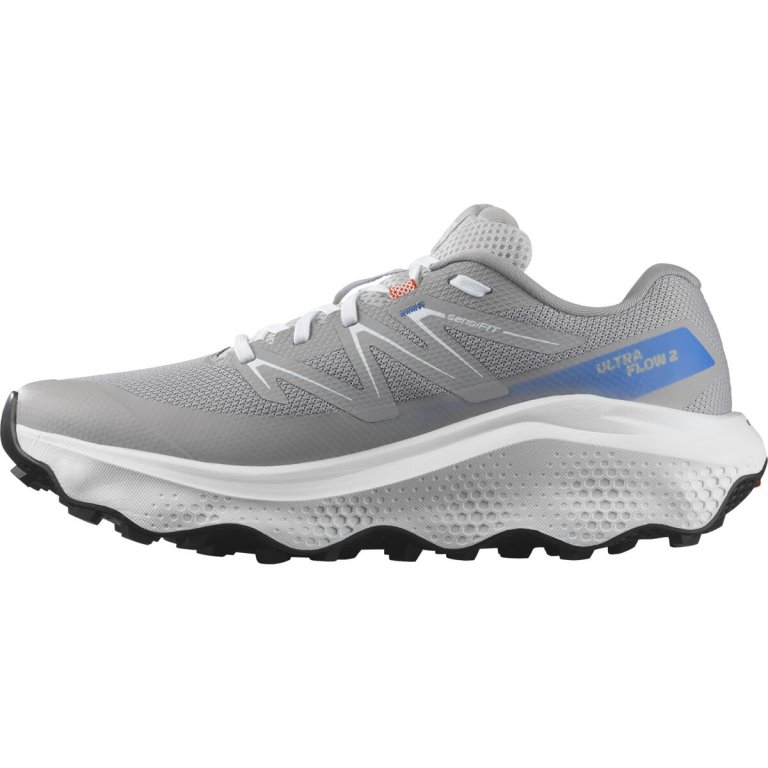 Кросівки Salomon Ultra Flow 2 M - сіро/сині