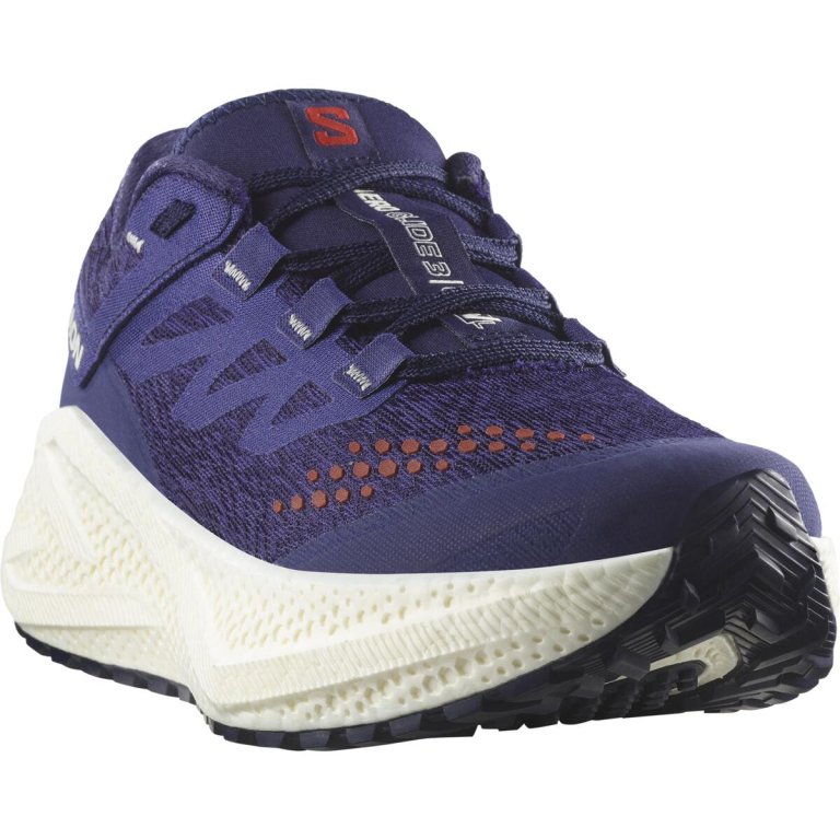 Кросівки Salomon Aero Glide 3 Grvl W - синьо/червоні