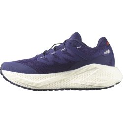 Кросівки Salomon Aero Glide 3 Grvl W - синьо/червоні