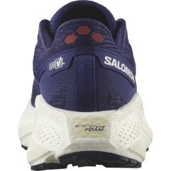 Кросівки Salomon Aero Glide 3 Grvl W - синьо/червоні