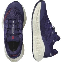 Кросівки Salomon Aero Glide 3 Grvl W - синьо/червоні