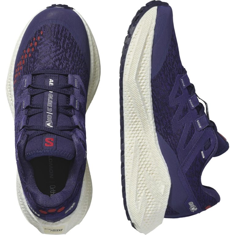 Кросівки Salomon Aero Glide 3 Grvl W - синьо/червоні