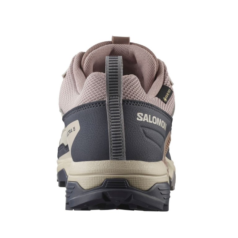 Взуття Salomon X Ultra 5 GTX W - сіро/рожеве