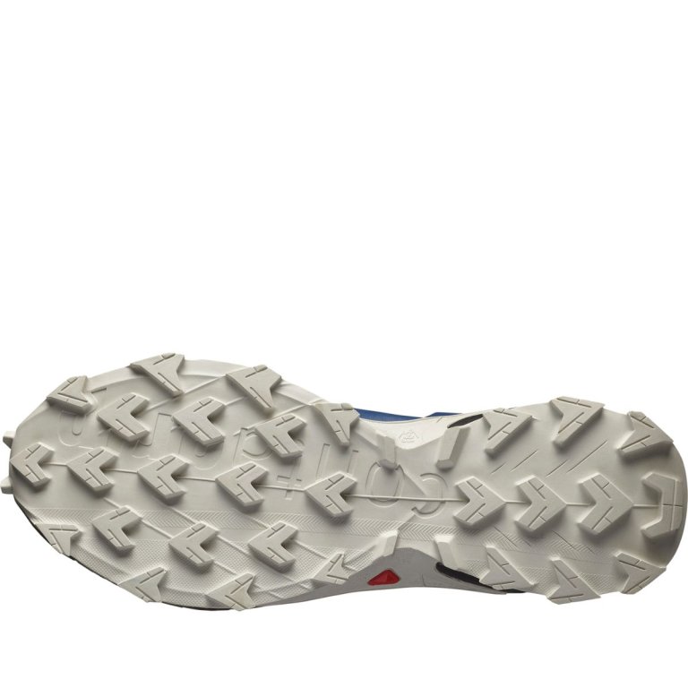 Кросівки Salomon Supercross 4 GTX M - сині