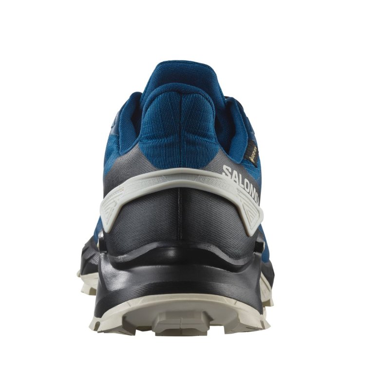 Кросівки Salomon Supercross 4 GTX M - сині