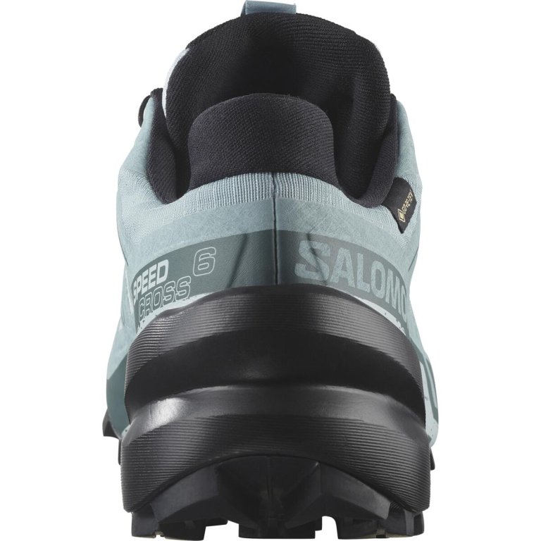 Кросівки Salomon Speedcross 6 GTX W - сині