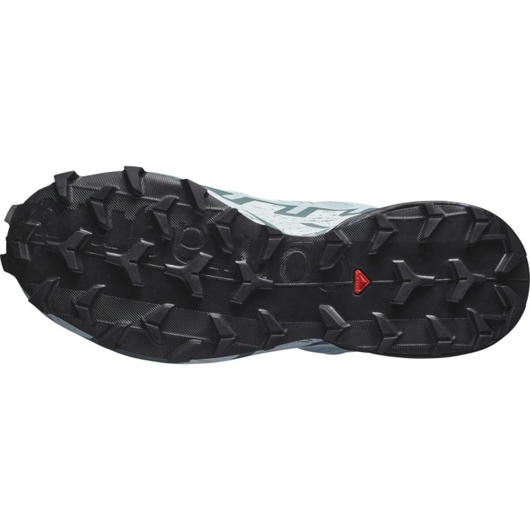 Кросівки Salomon Speedcross 6 GTX W - сині