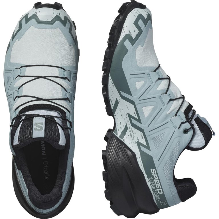 Кросівки Salomon Speedcross 6 GTX W - сині