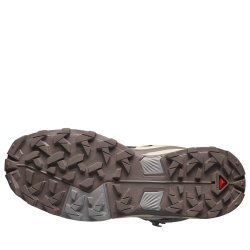 Взуття Salomon X Ultra 5 Mid GTX W - сіро/рожеві