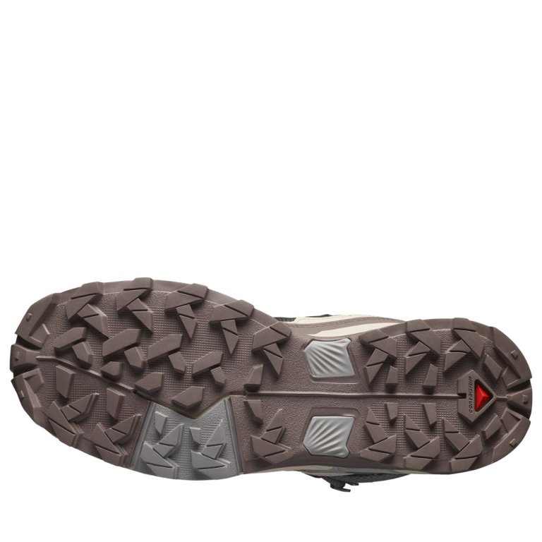Взуття Salomon X Ultra 5 Mid GTX W - сіро/рожеві