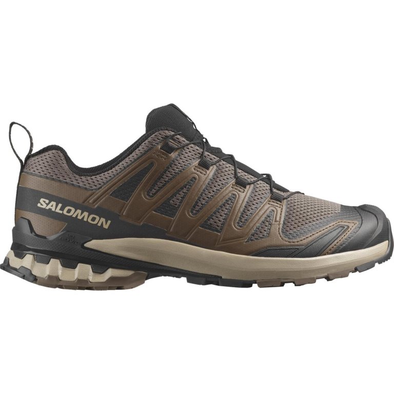 Кросівки Salomon Xa Pro 3D V9 M - коричневі