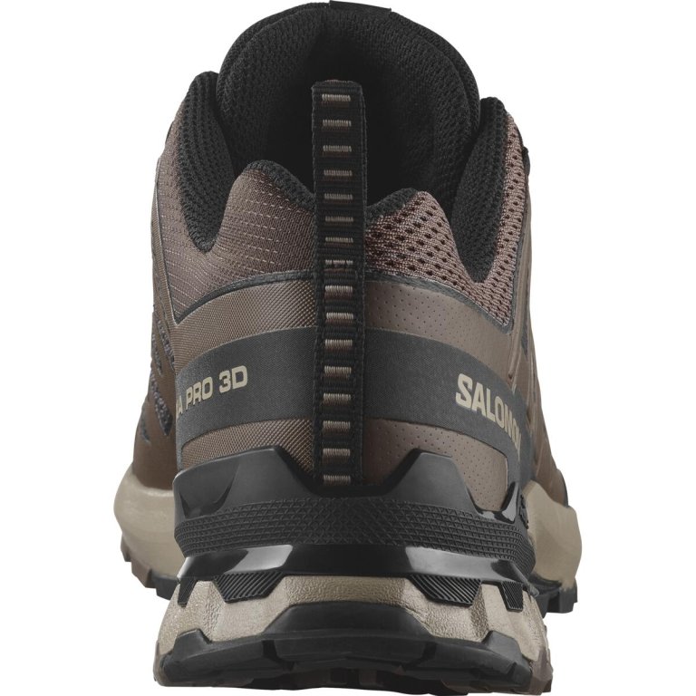Кросівки Salomon Xa Pro 3D V9 M - коричневі
