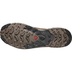 Кросівки Salomon Xa Pro 3D V9 M - коричневі