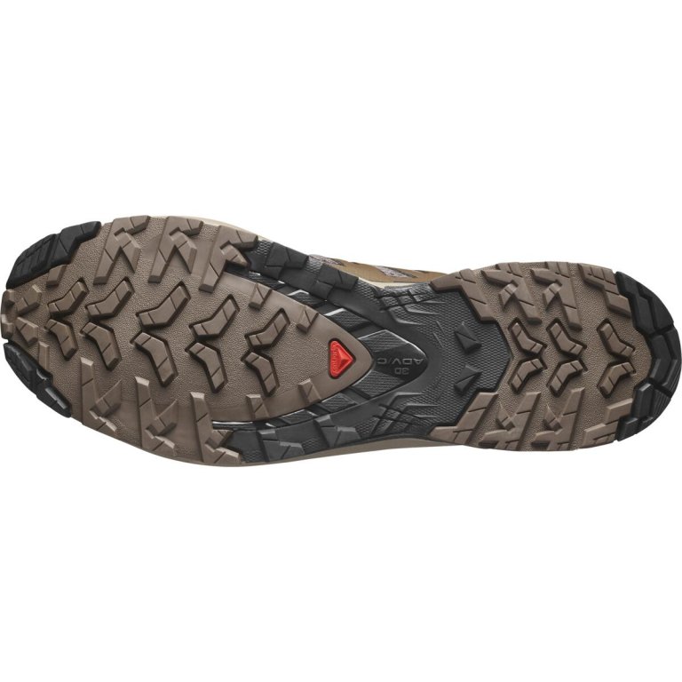 Кросівки Salomon Xa Pro 3D V9 M - коричневі