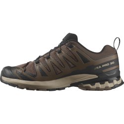 Кросівки Salomon Xa Pro 3D V9 M - коричневі