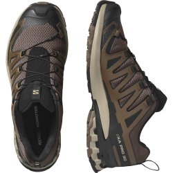Кросівки Salomon Xa Pro 3D V9 M - коричневі