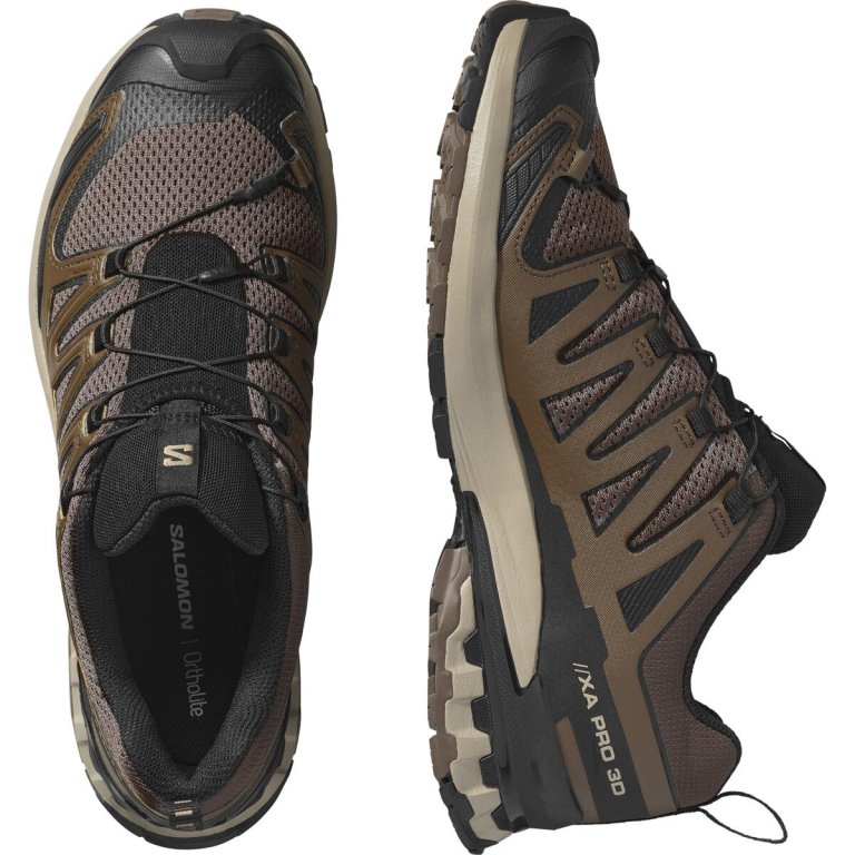 Кросівки Salomon Xa Pro 3D V9 M - коричневі