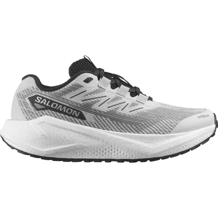 Кросівки Salomon Aero Blaze 3 Grvl W - сіро/чорні