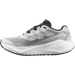 Кросівки Salomon Aero Blaze 3 Grvl W - сіро/чорні