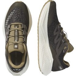 Кросівки Salomon Aero Glide 3 Grvl M - зелені