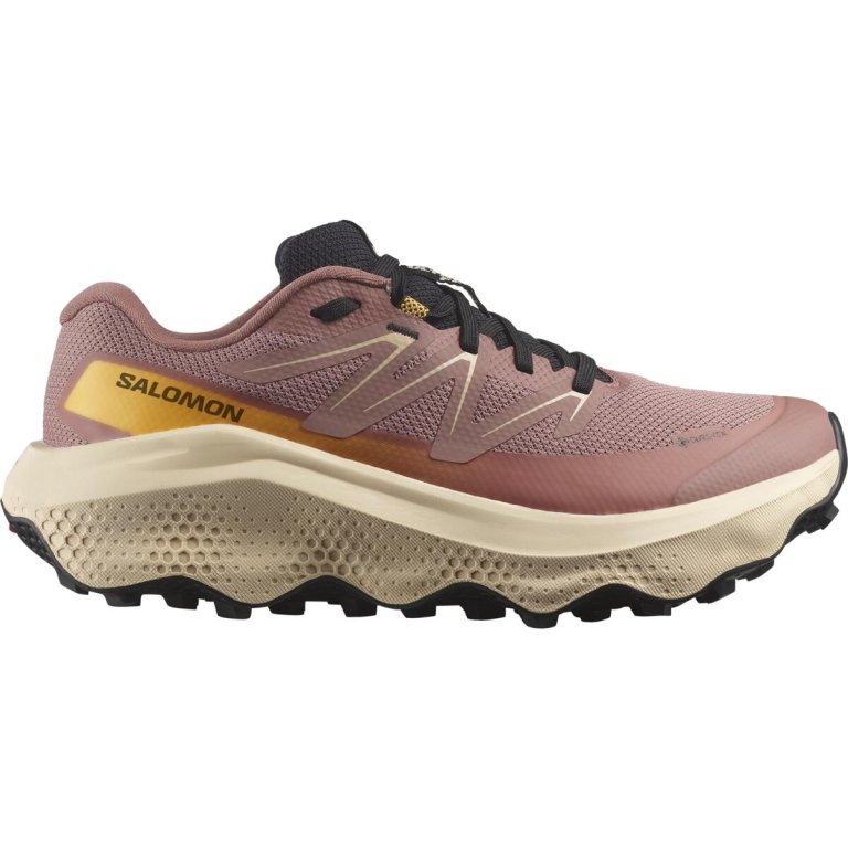 Кросівки Salomon Ultra Flow 2 GTX W - коричневі