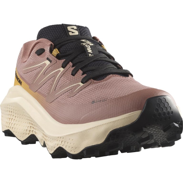 Кросівки Salomon Ultra Flow 2 GTX W - коричневі