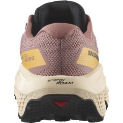 Кросівки Salomon Ultra Flow 2 GTX W - коричневі