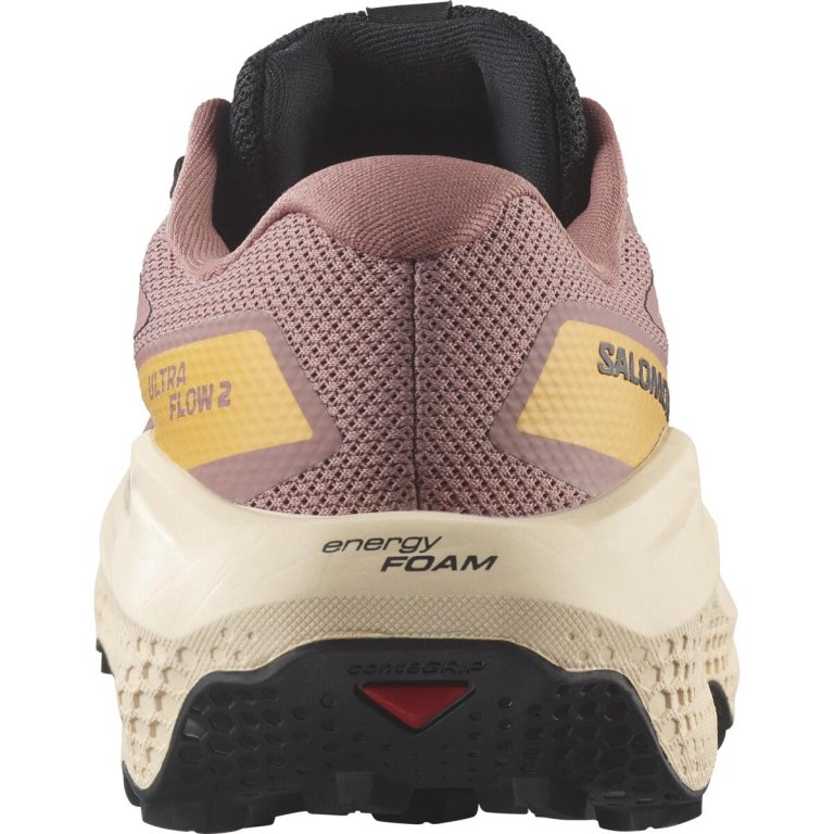 Кросівки Salomon Ultra Flow 2 GTX W - коричневі