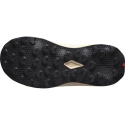 Кросівки Salomon Ultra Flow 2 GTX W - коричневі