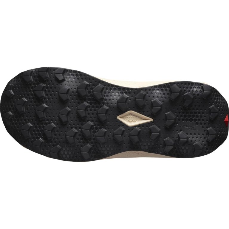 Кросівки Salomon Ultra Flow 2 GTX W - коричневі