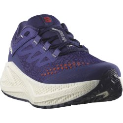 Кросівки Salomon Aero Glide 3 Grvl M - синьо/червоні