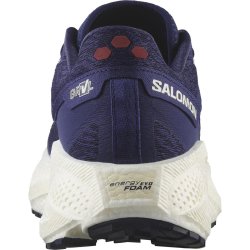 Кросівки Salomon Aero Glide 3 Grvl M - синьо/червоні