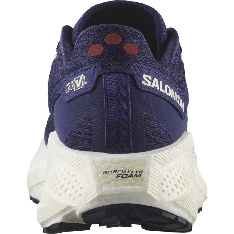 Кросівки Salomon Aero Glide 3 Grvl M - синьо/червоні