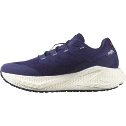 Кросівки Salomon Aero Glide 3 Grvl M - синьо/червоні