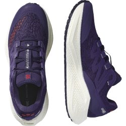 Кросівки Salomon Aero Glide 3 Grvl M - синьо/червоні