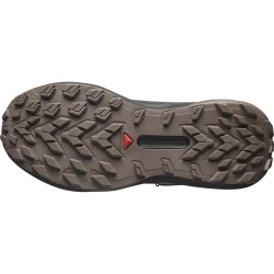 Кросівки Salomon Genesis GTX W - чорно/сіро/рожеві