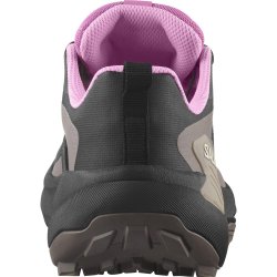 Кросівки Salomon Genesis GTX W - чорно/сіро/рожеві